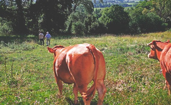 La bascule en permaculture